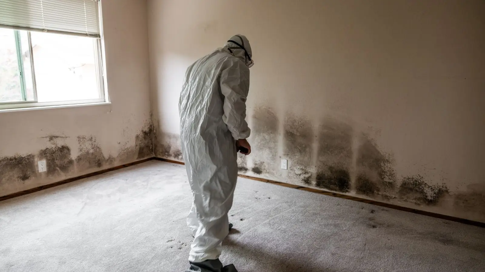 Person in a protective suit inspecting mold along the base of a wall in an empty room