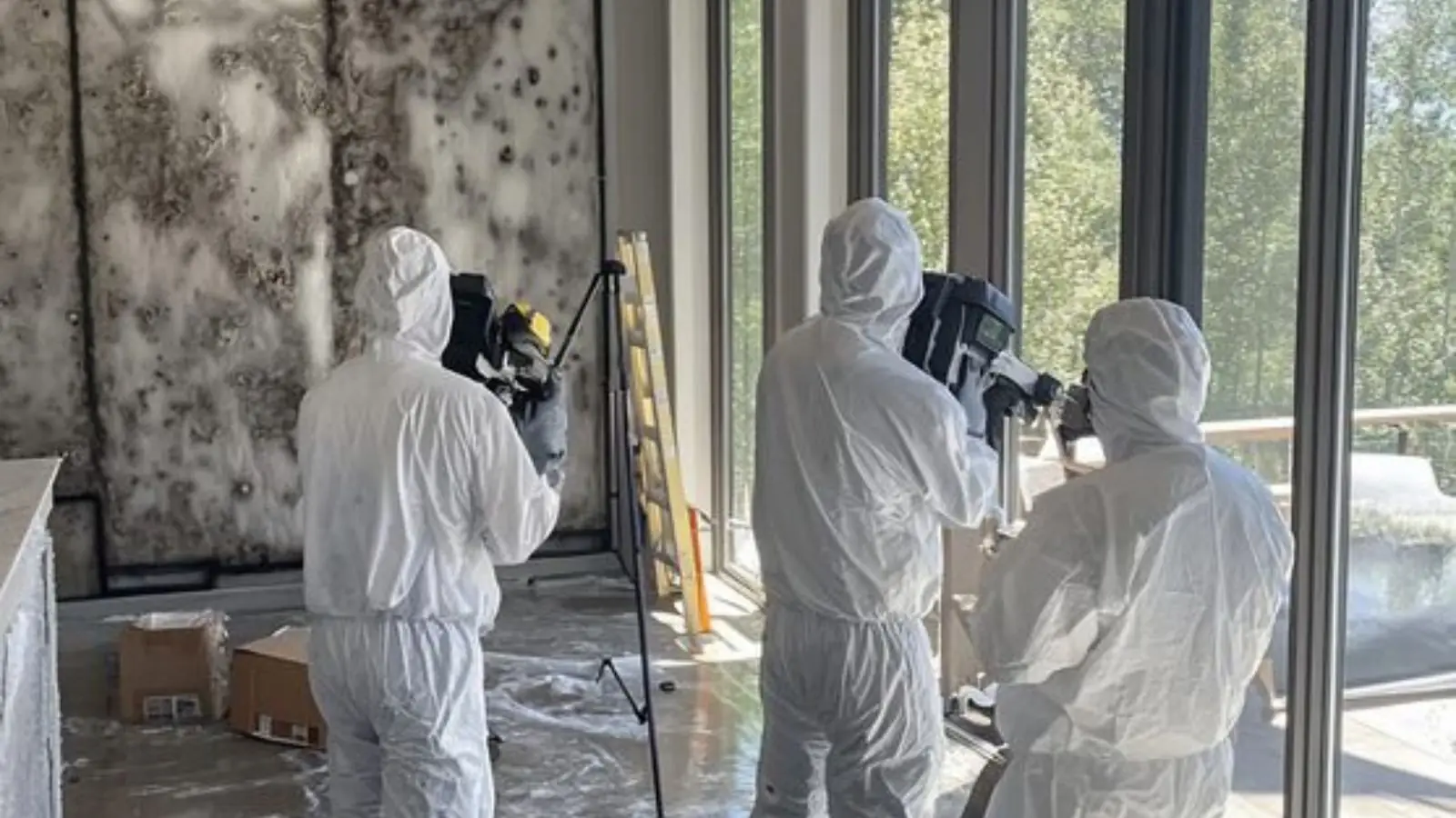Remediation crew in white protective suits working in a room with mold on the walls