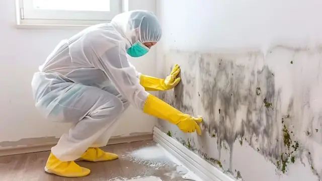 Worker in a white suit, mask and yellow gloves crouching to clean mold along a wall