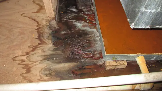 Water-stained wood subfloor with a flooring board lifted at the edge