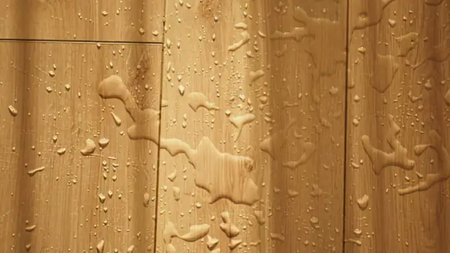 Water droplets beading on wood floor planks